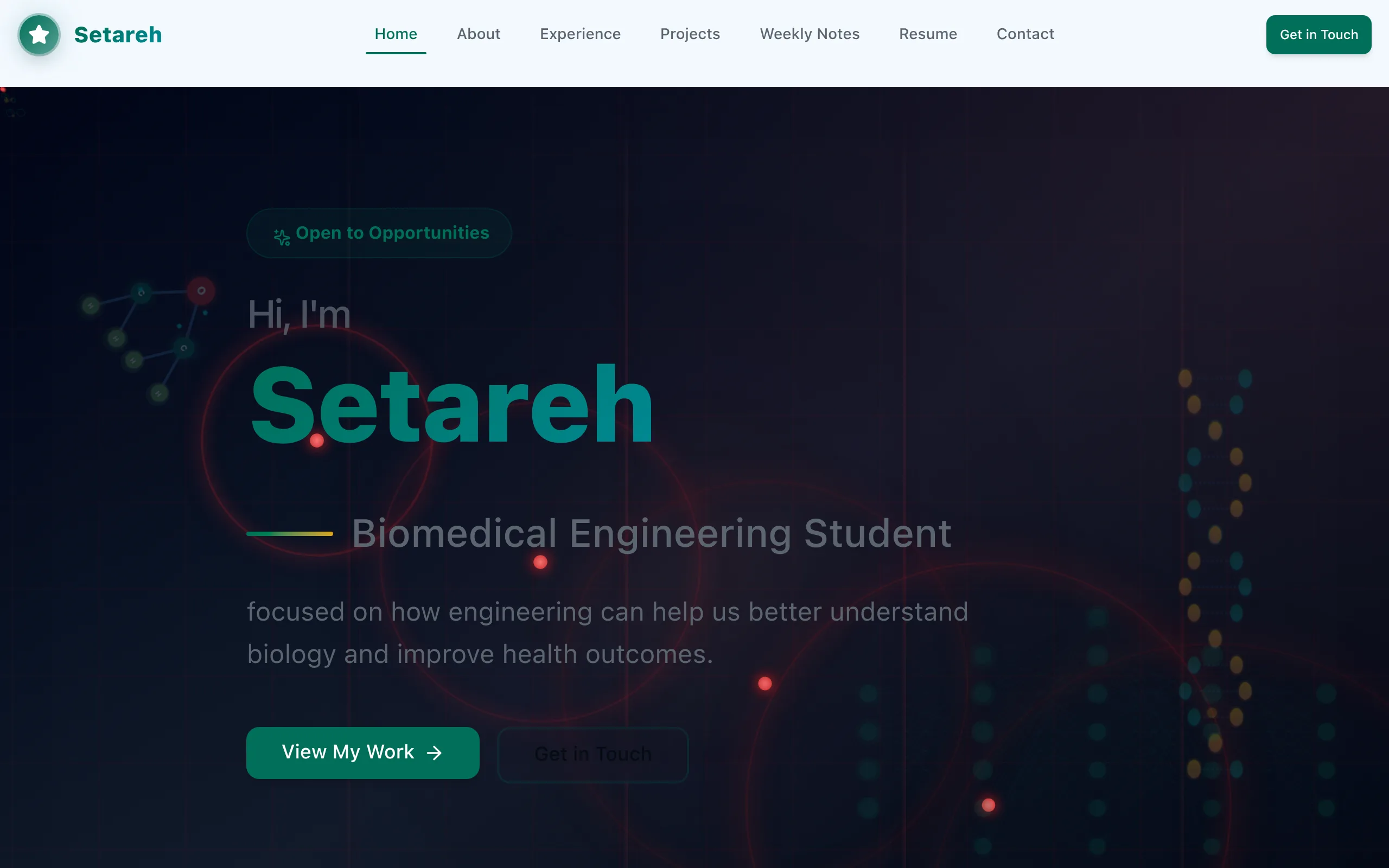 Setareh - Portfolio Website