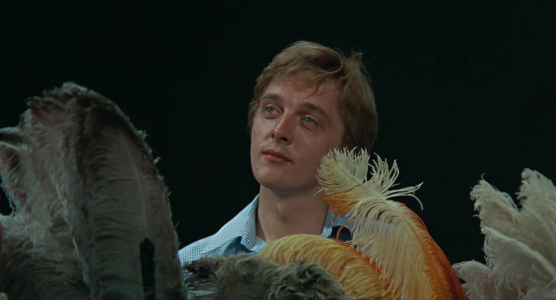 The image dissolves into ambiguity